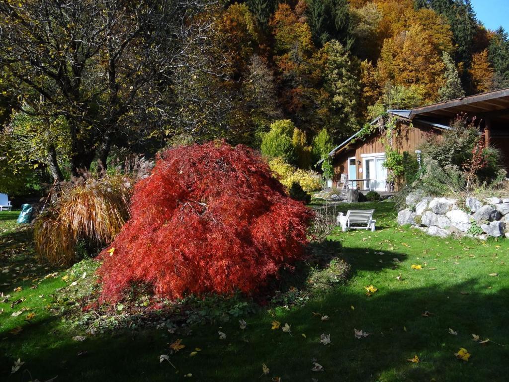 Gaestehaus Buehler Oberstdorf Chambre photo